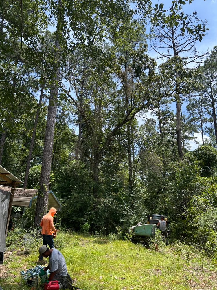 Tree Removal for Broadway & McMullen Construction in Hattiesburg, MS
