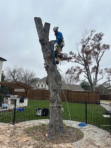 All Photos for Blu-J Tree Care in Arlington, TX