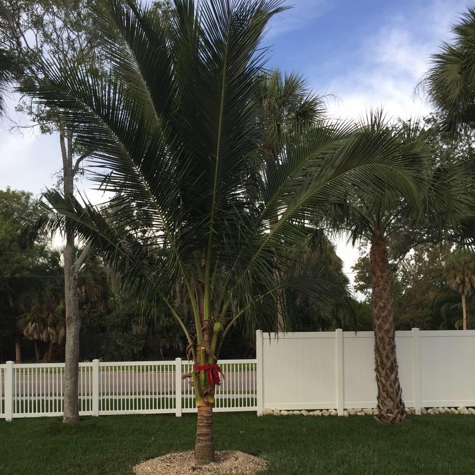 Landscaping for Hefty's Helpers in Saint Petersburg,  FL