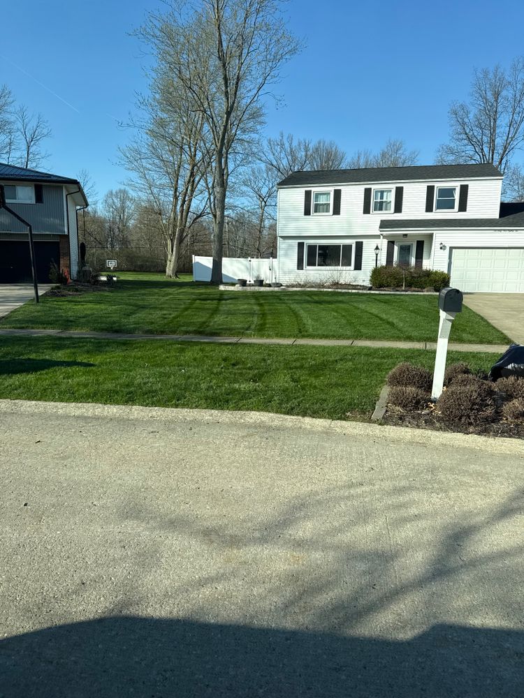 All Photos for Yard Theory in Willowick, OH
