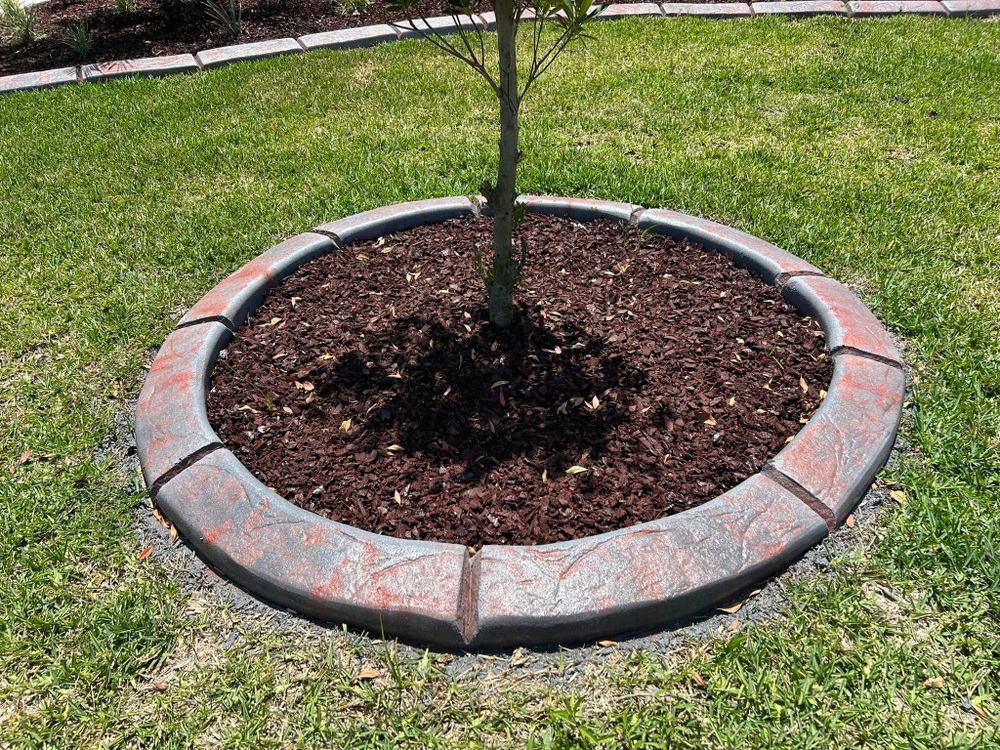 All Photos for J and E LAWN Landscaping in Gainesville, Florida