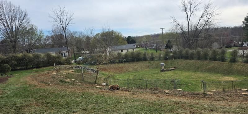 All Photos for Hamlett Tree Service LLC in Clover, VA