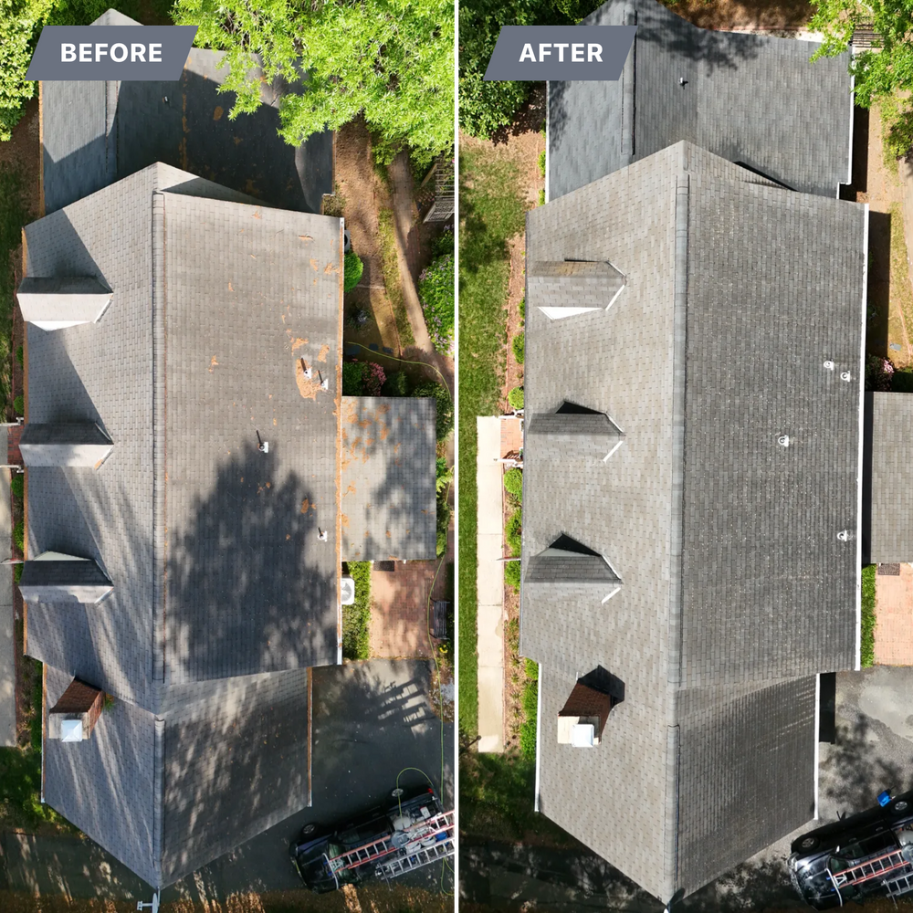 All Photos for LeafTide Solutions in Richmond, VA