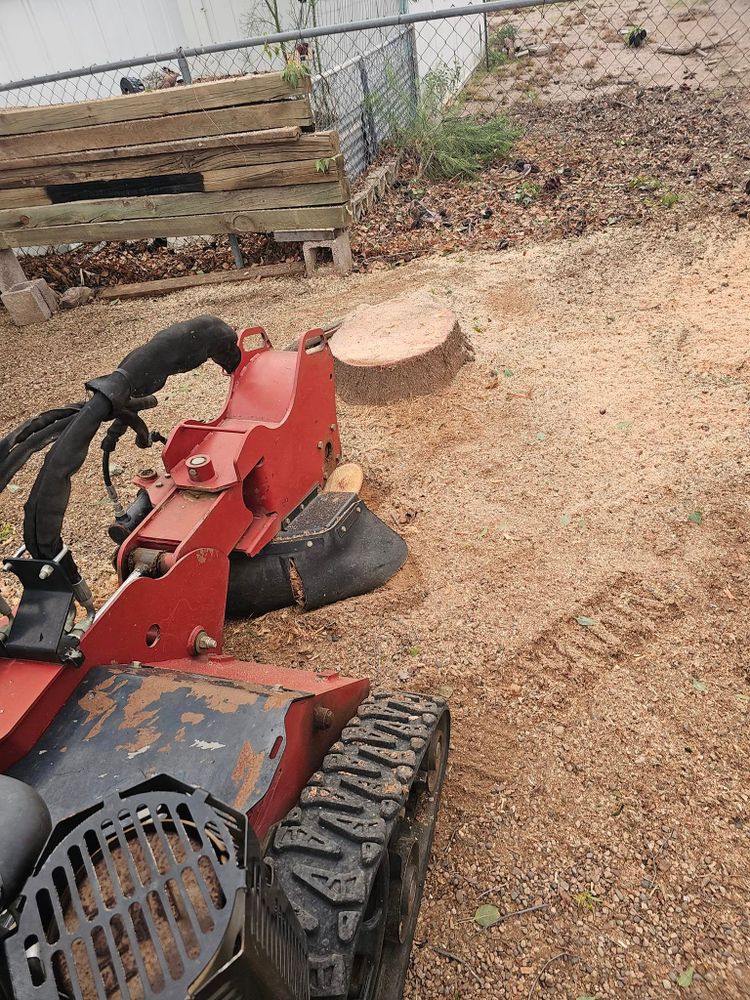Our professional stump removal service eliminates unsightly stumps safely and efficiently, enhancing your landscape's appearance while preventing potential pest issues and allowing for optimal lawn or garden use. for T's Tree Service and Firewood in Apache Junction, AZ