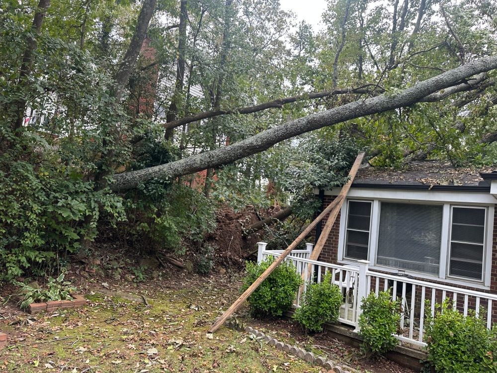 Tree Removal for Rescue Grading & Landscaping in Marietta, SC