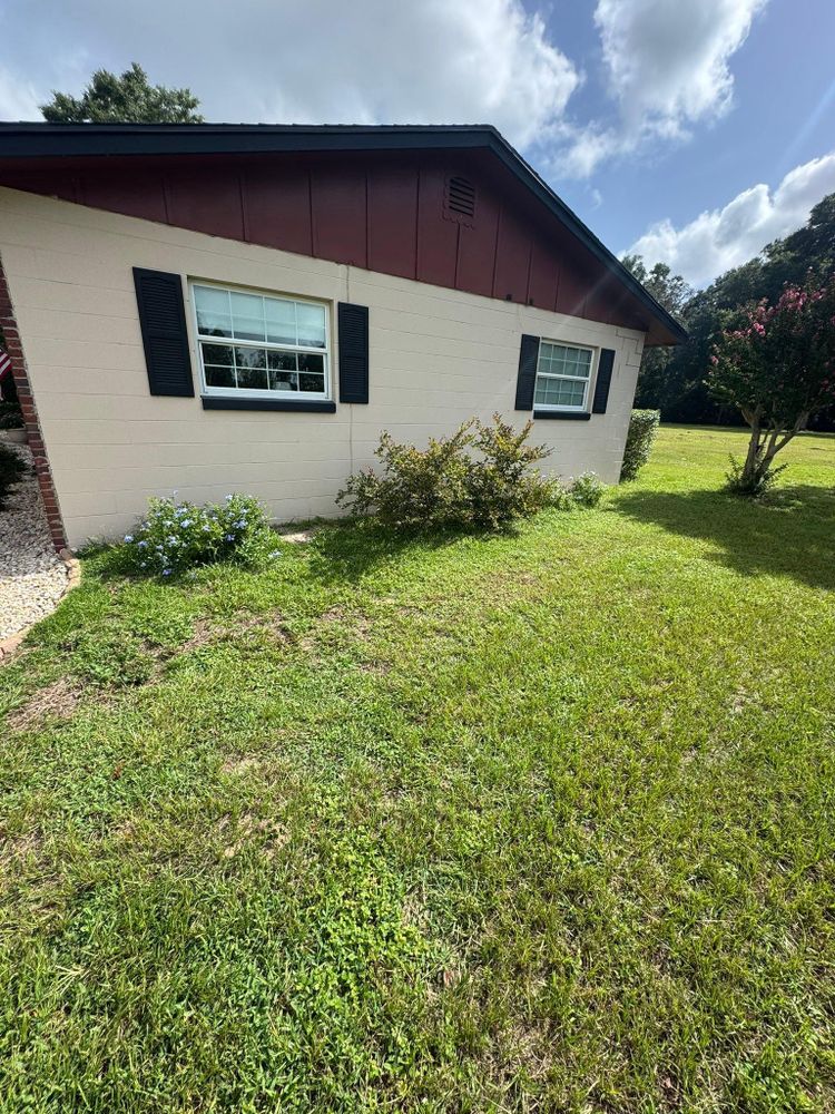 All Photos for Young's Lawn Services LLC in Ocala, FL