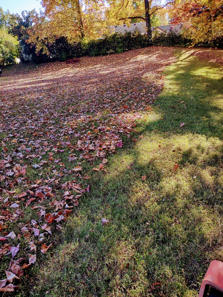 Lawn Care for Freedom Works Lawnscaping in Dyer County, Tennessee