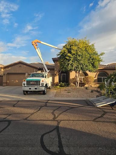 All Photos for T's Tree Service and Firewood in Apache Junction, AZ