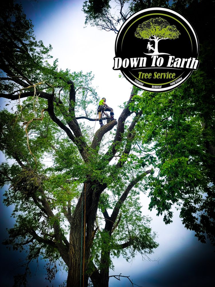 Down To Earth Tree Service team in Red Wing,  Minnesota - people or person