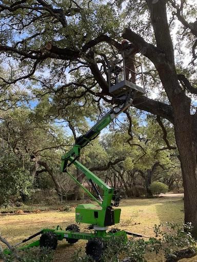 All Photos for Braun Tree Service  in Floresville, Texas
