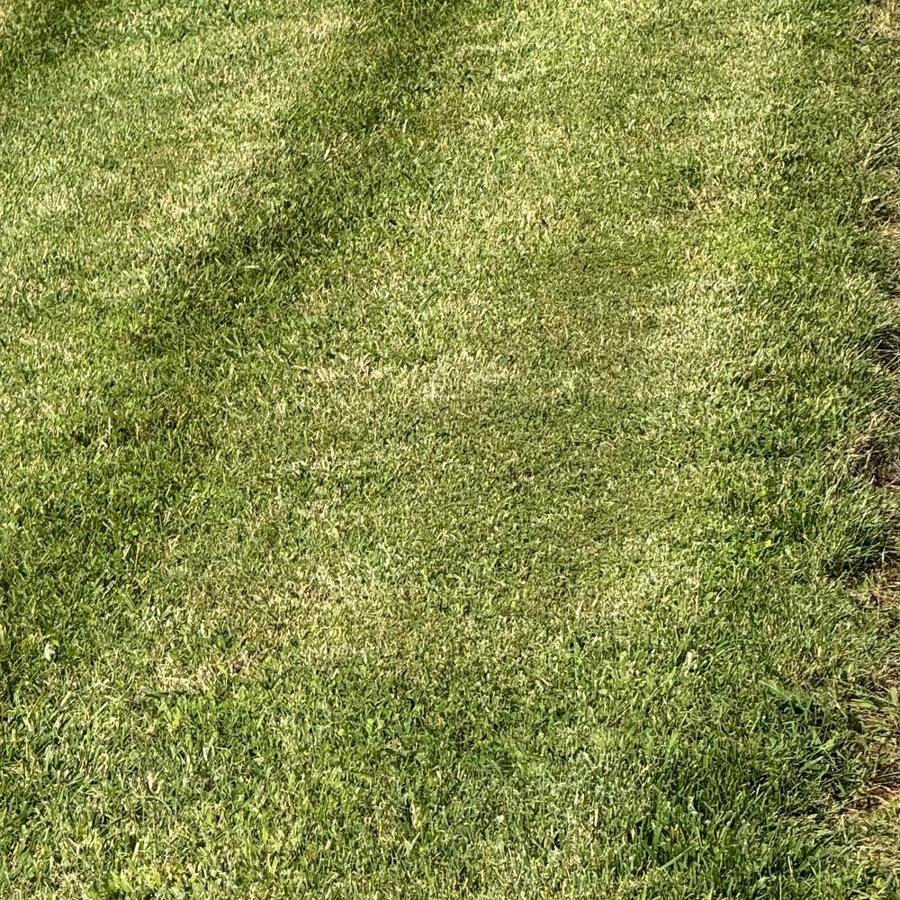 All Photos for Legends Lawn Care in Johnson City, TN