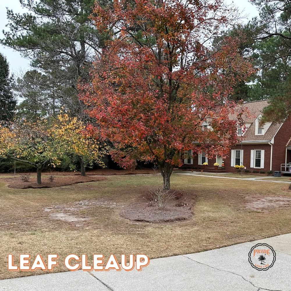Lawn Care for Pride Lawn Care in Hope Mills, NC