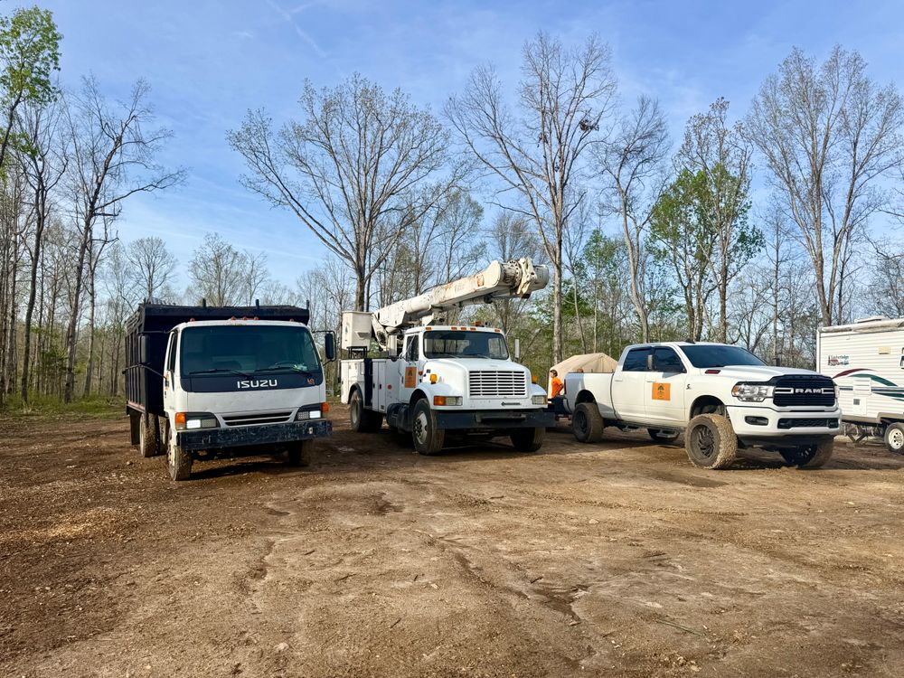 All Photos for Ross Family Tree Service LLC  in Hohenwald, TN