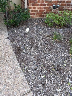 All Photos for Toppers Wildlife Removal in Garland, TX