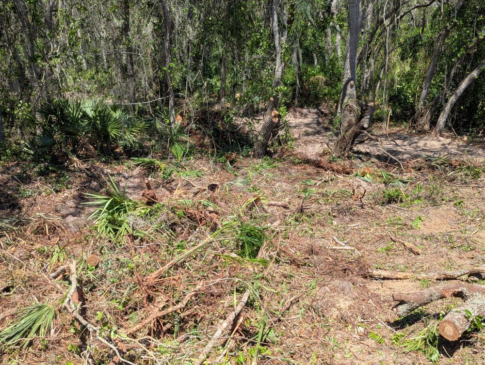 All Photos for Regal Tree Service and Stump Grinding in Wauchula, FL