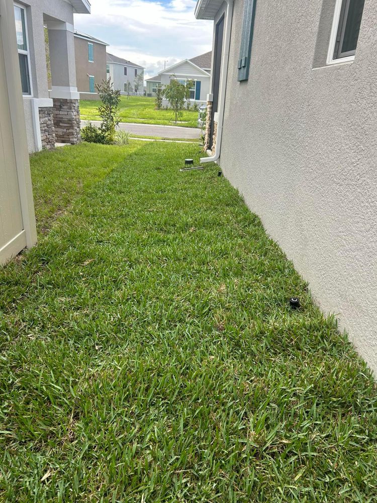 All Photos for Estrada All Pro Lawn Service in Auburndale, Florida