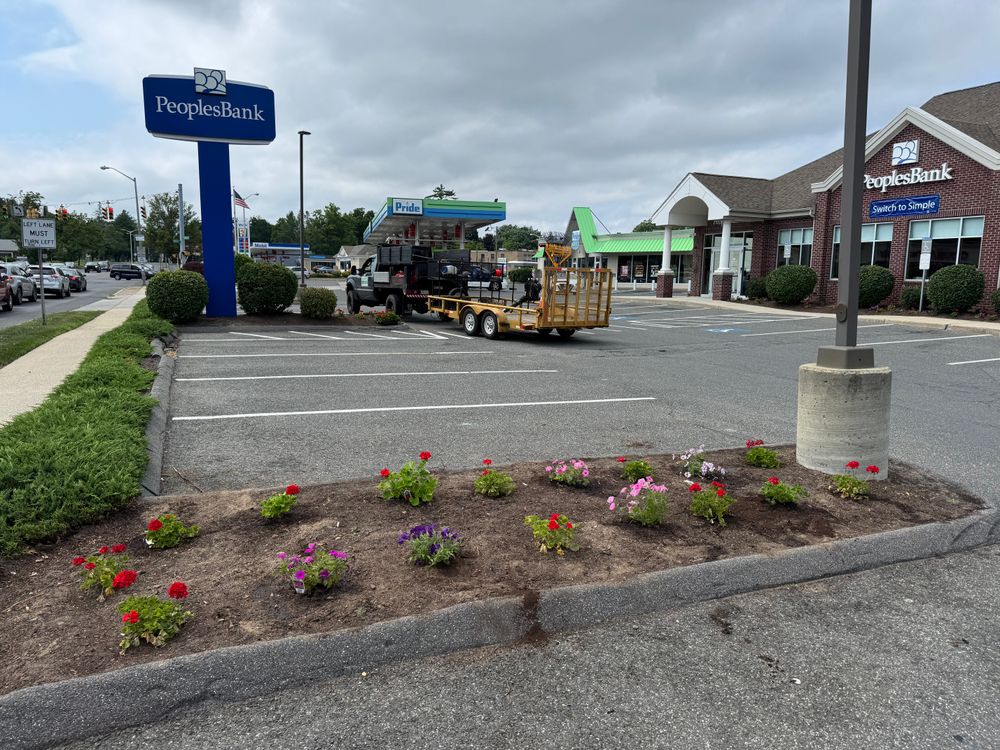 All Photos for Adams Landscaping in Springfield, MA