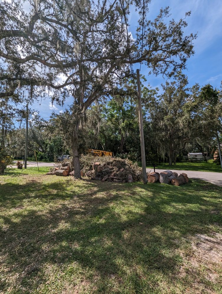 All Photos for Regal Tree Service and Stump Grinding in Wauchula, FL