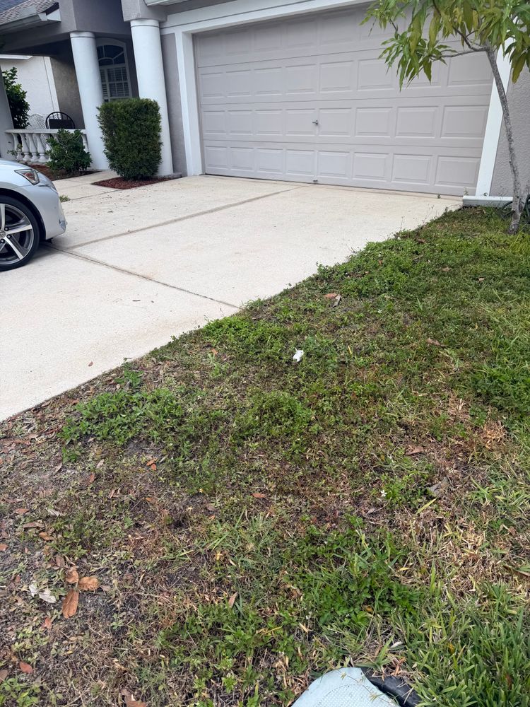 All Photos for The Yardman in Tampa, FL