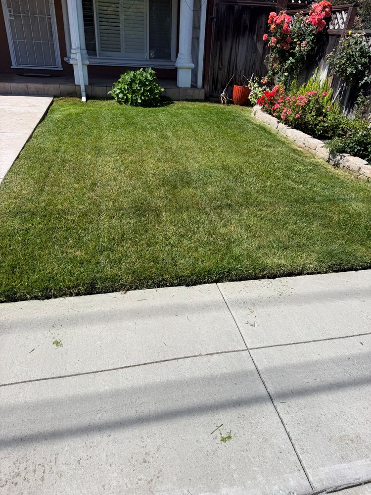 All Photos for CBA Landscaping in Hayward, CA