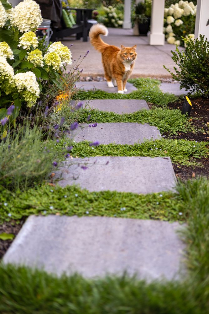 All Photos for Courtney Lewis Landscape Design in Portland, OR