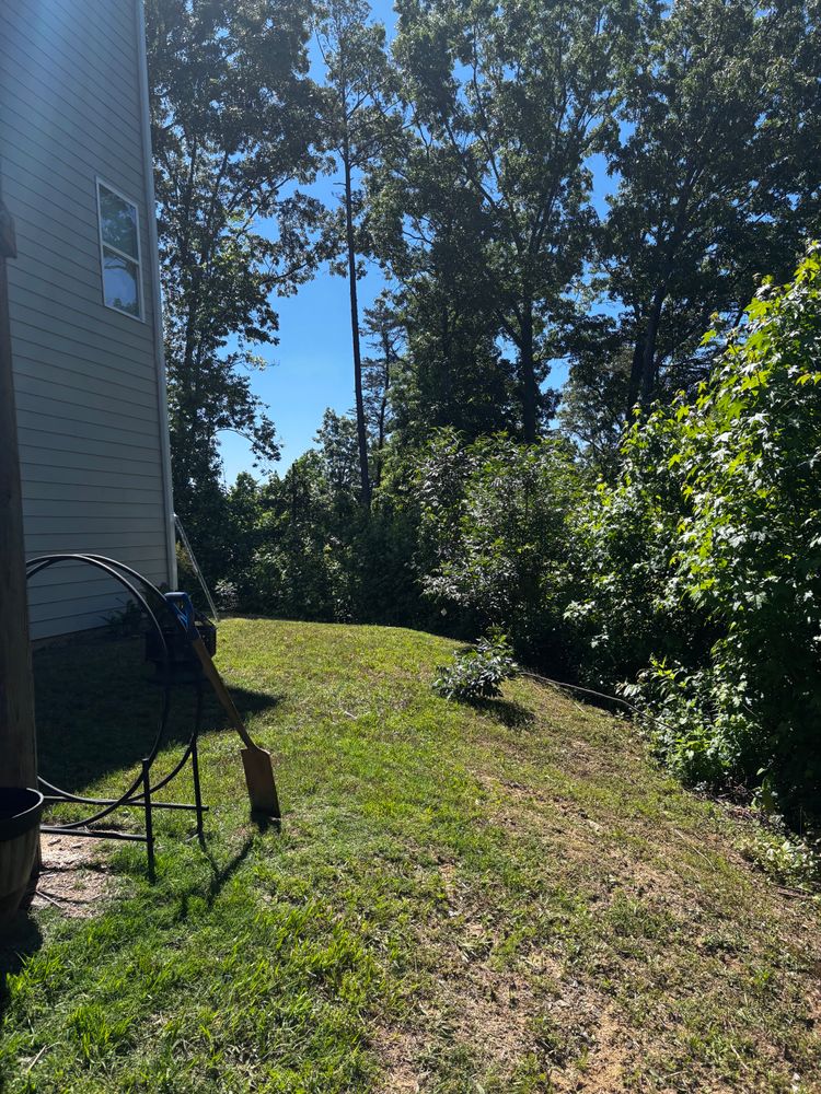 All Photos for Alpine Fence in Dahlonega, GA