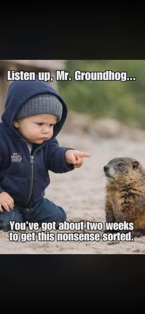 All Photos for Dig-It Tree Company in Mason, OH