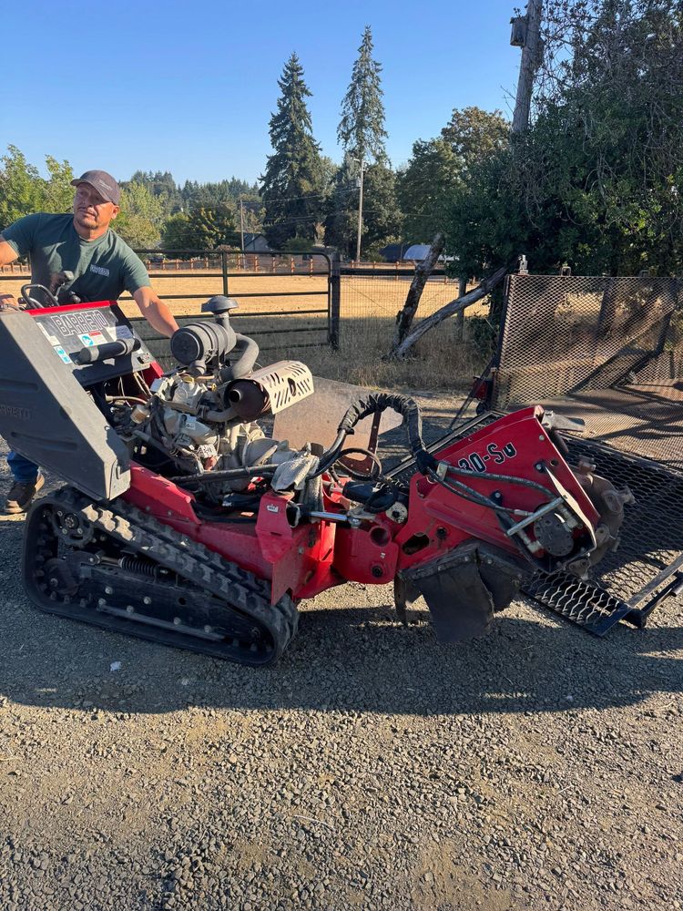 All Photos for Willamette Landscaping and Tree Services in Albany, OR