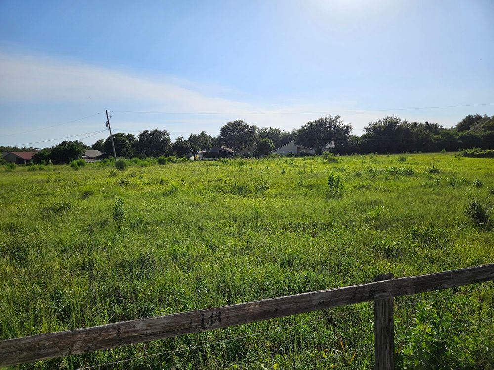 All Photos for Bay Area Bobcat in Riverview, FL