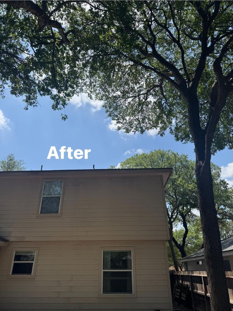 All Photos for Z’s Trees LLC in Grey Forest, TX