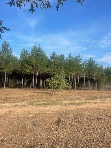 All Photos for JM Services in Woodville, TX