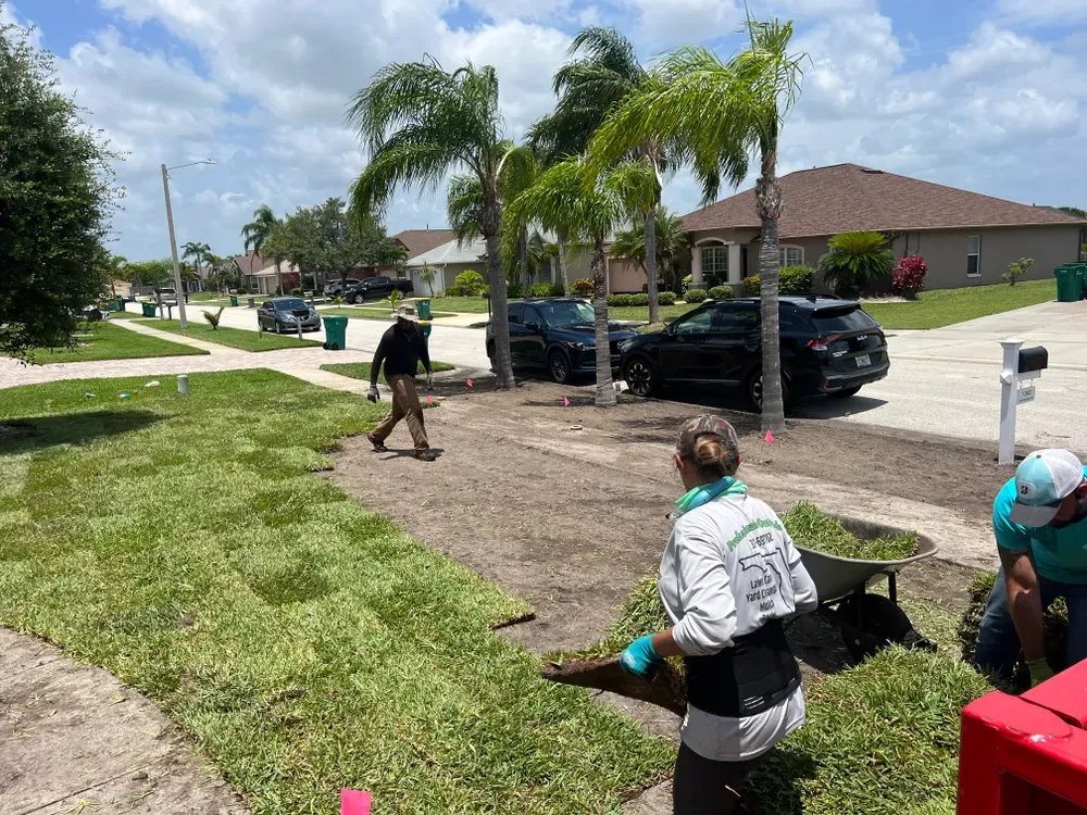 All Photos for Florida Pro Turf in Rockledge, FL