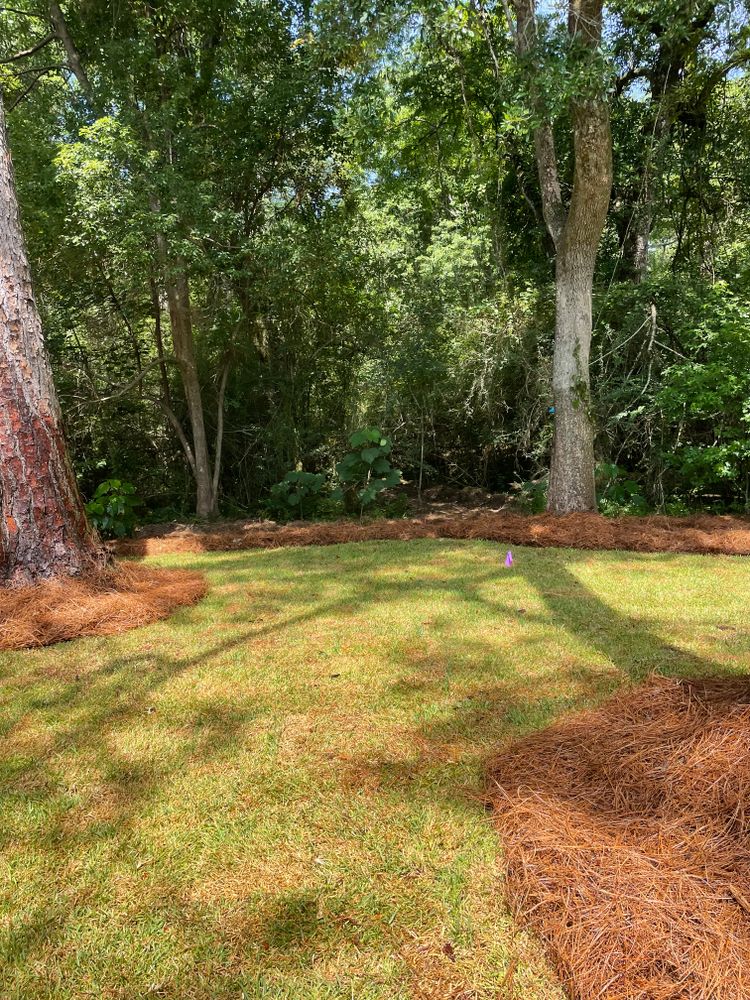 All Photos for Enhanced Landscape in Daphne, AL