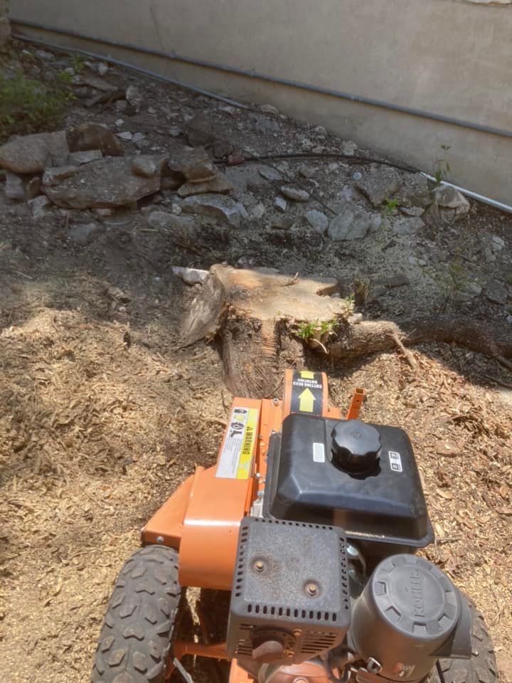 All Photos for Camerons Stump Grinding & Tree Services in Austin, TX