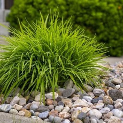 All Photos for Idahome Hardscapes in Coeur d'Alene, ID