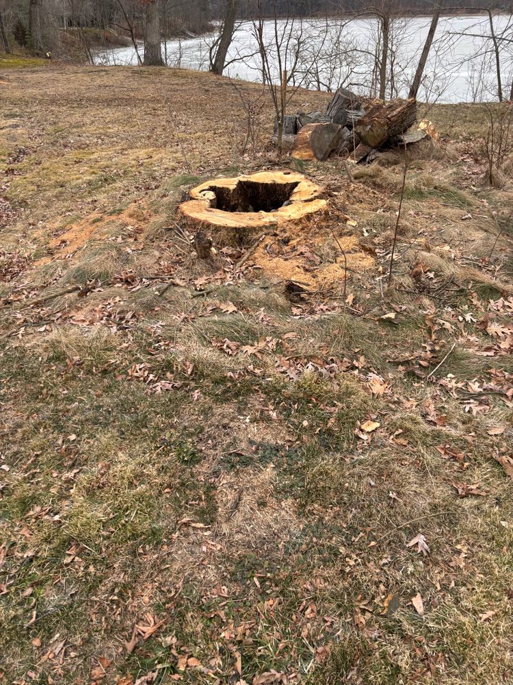 All Photos for Dean's Stump Removal in Youngstown, OH