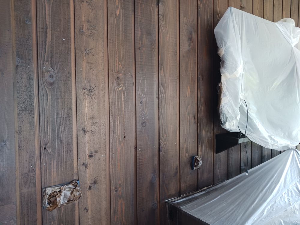 All Photos for Bradley Bradshaw Painting in Christmas, FL