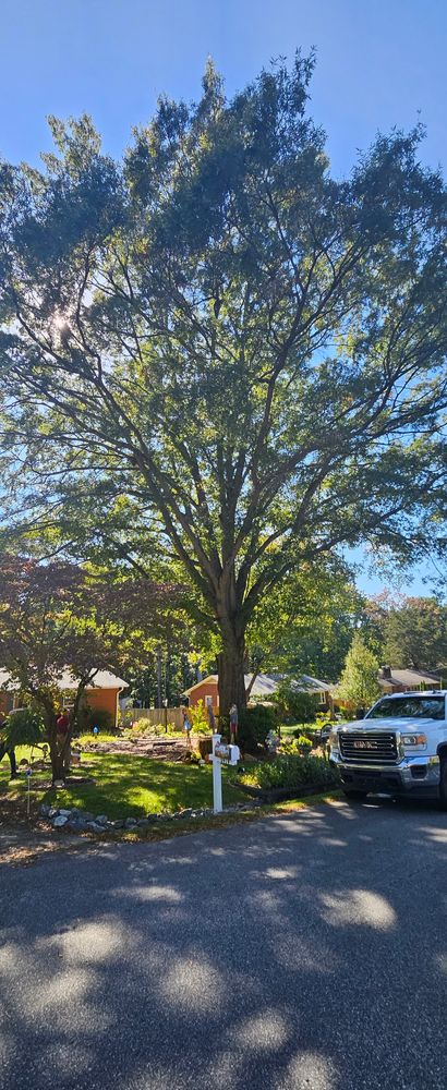 All Photos for Lanes Outdoor Solutions in Lexington, NC
