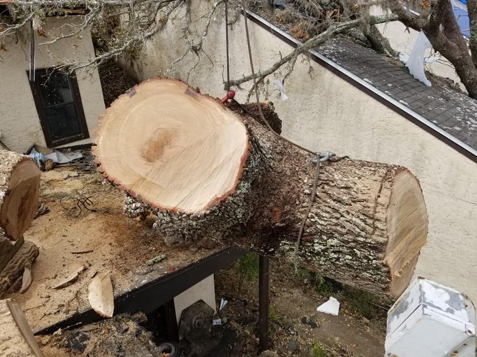 Tree Removal for Spruce Creek Tree Service in Port Orange, FL