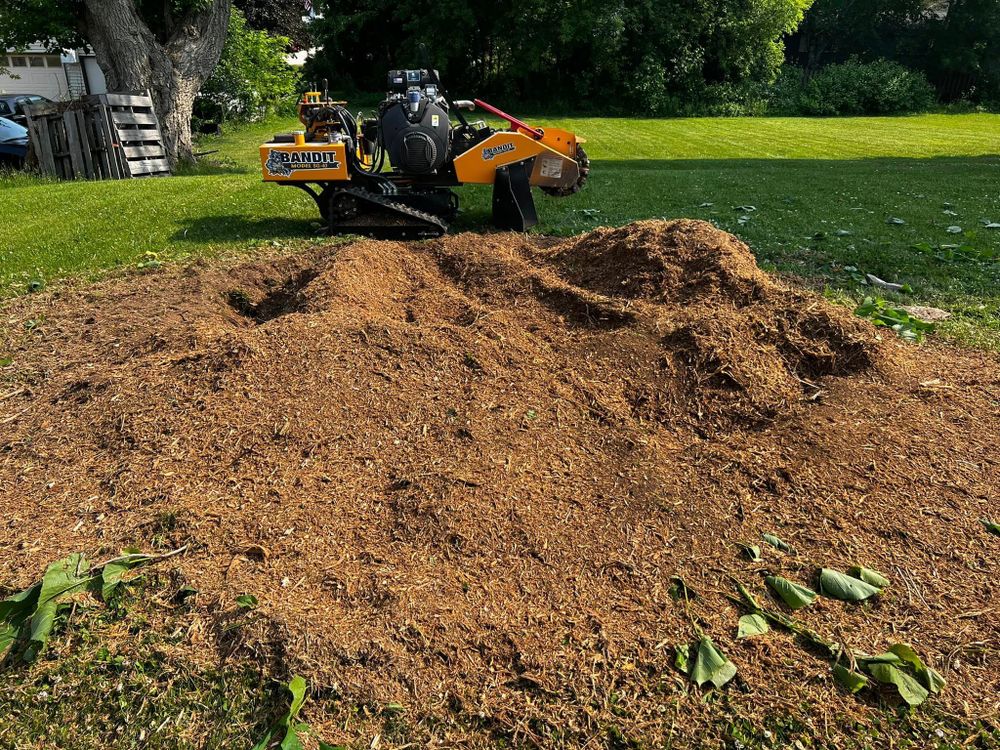 Land Clearing for Nate’s Tractor Service in Cascade, WI