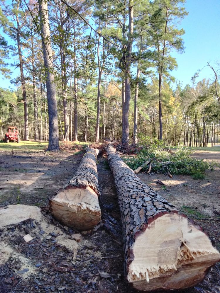 Our professional Tree Removal service provides safe and efficient removal of unwanted or hazardous trees from your property. Trust our experienced team to handle all aspects of tree removal with care. for J&S Tree Services  in Quitman,  TX