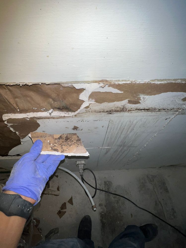 Mold Remediation for N&D Restoration Services When Disaster Attacks, We Come In in Cape Coral,  FL