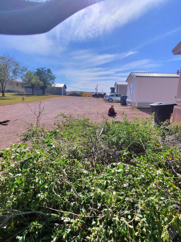 All Photos for Elevated Tree Care in Gillette, WY