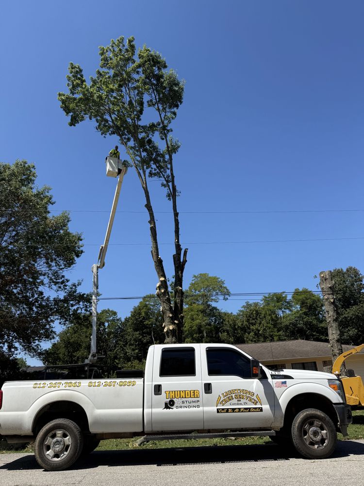 All Photos for Lightning Tree Service in Corydon, IN