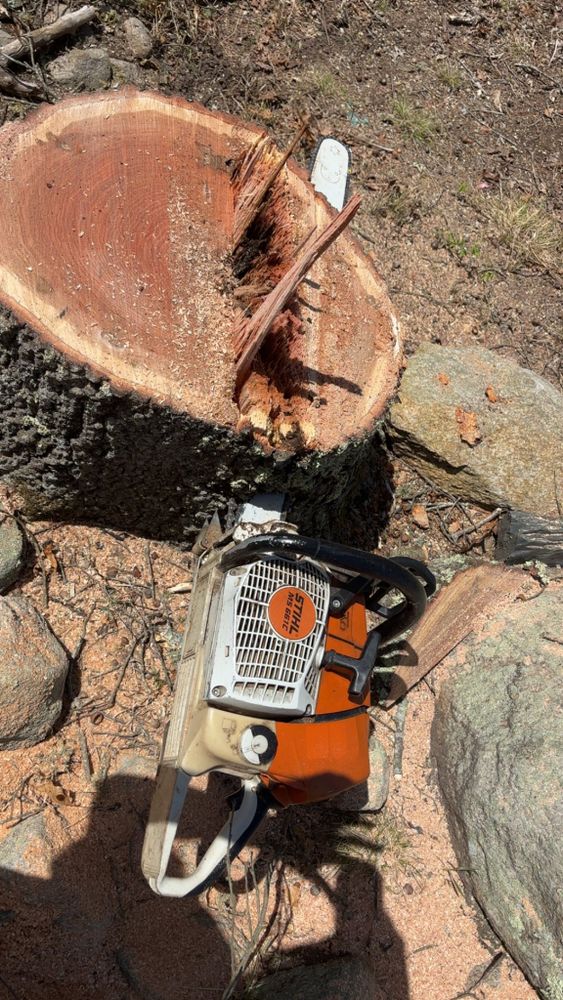 Tree Removal for Dwights Tree Service LLC in Middleborough, MA
