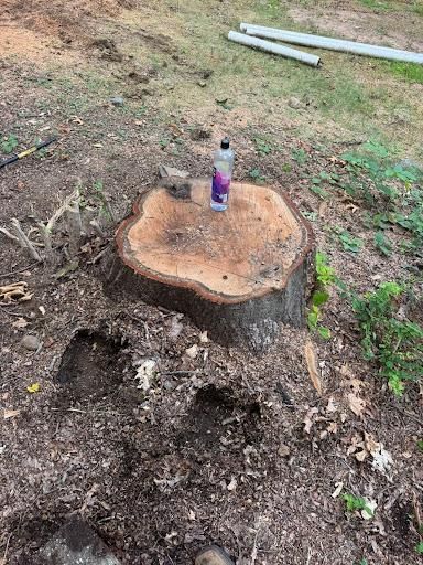 All Photos for Jills Stump Grinding and Firewood in Shelton, CT