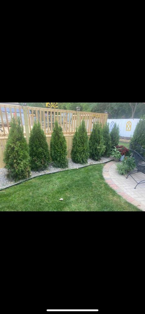 Landscaping for Tico Landscape Improvements in Ann Arbor, MI