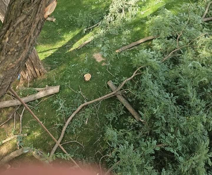 All Photos for Highborn Tree Service in Wheatfield, IN