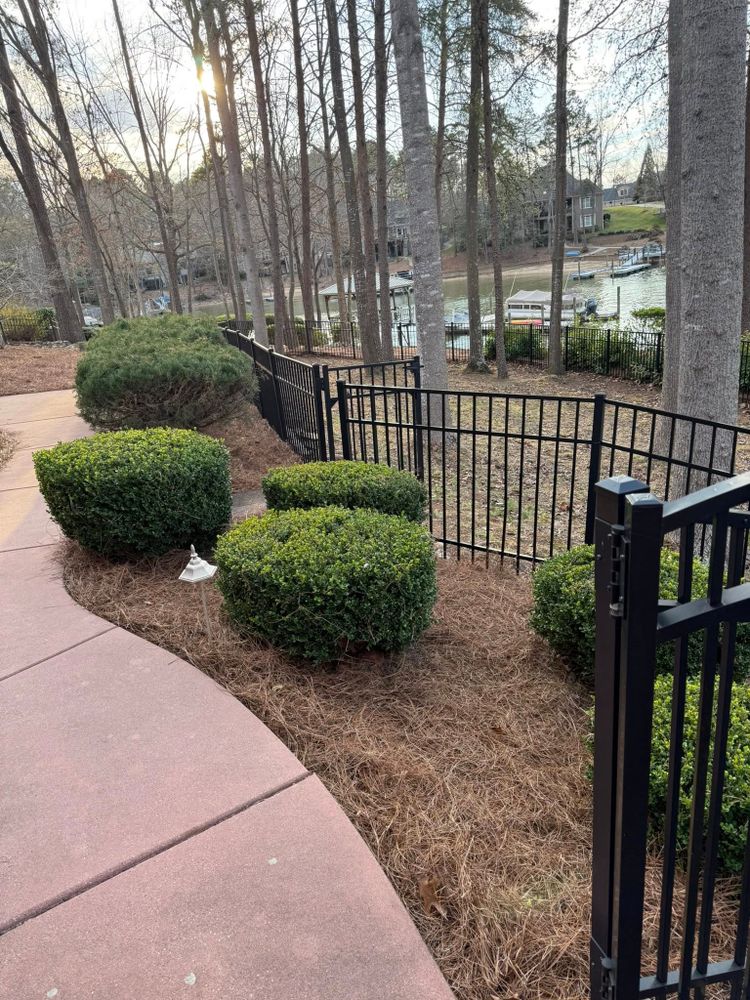 Our expert Shrub Trimming service enhances your garden's appearance by carefully shaping and maintaining shrubs, promoting healthy growth for a vibrant landscape that complements your home beautifully. for Stars & Stripes Landscaping in Catawba, NC