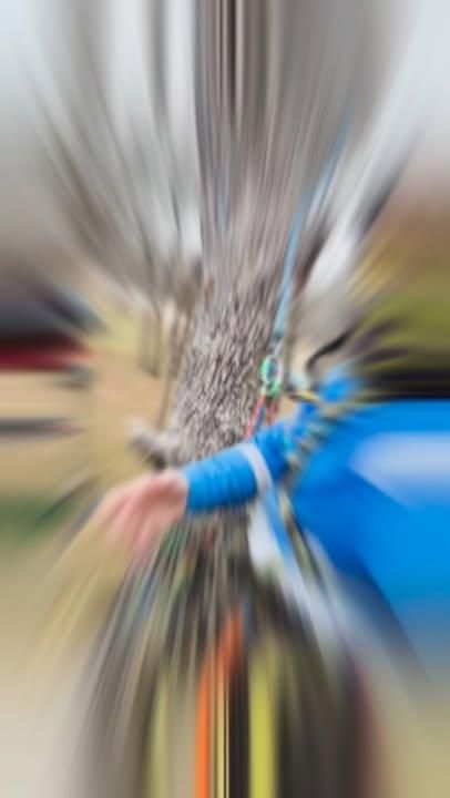 All Photos for Blu-J Tree Care in Arlington, TX